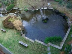 学校の中庭に湧き出る泉－くじら池－の画像