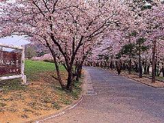 城山公園の画像