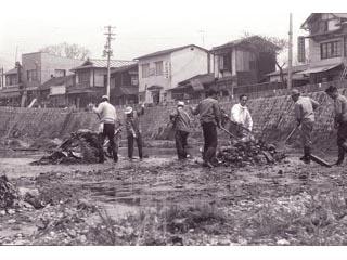 女鳥羽川一斉清掃の写真