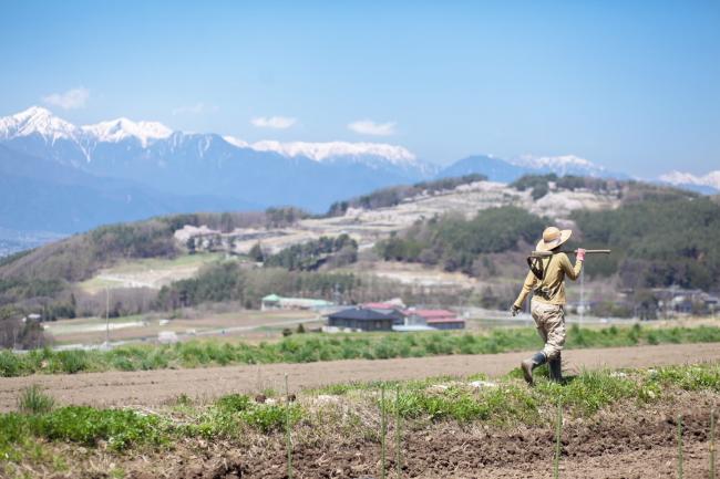 松本市の山と畑の写真