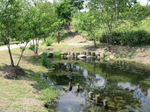 チョットきれいな緑地公園写真2