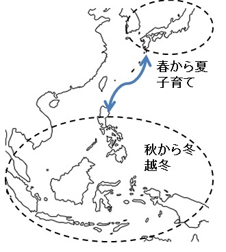 ツバメの移動