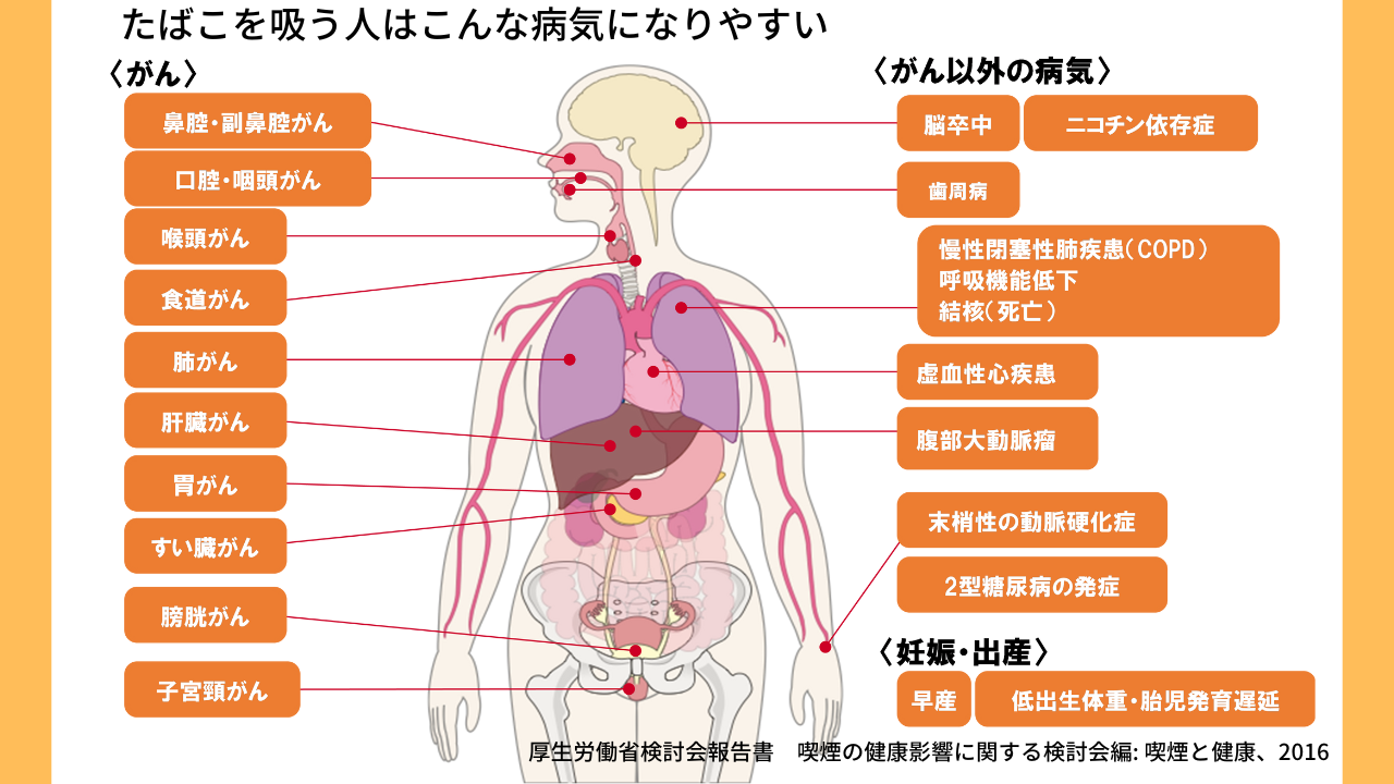 本人への影響