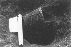 土器（深鉢）出土状況（第2次）