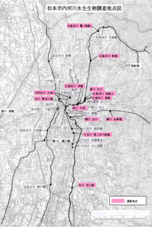 松本市内河川水生生物調査地点