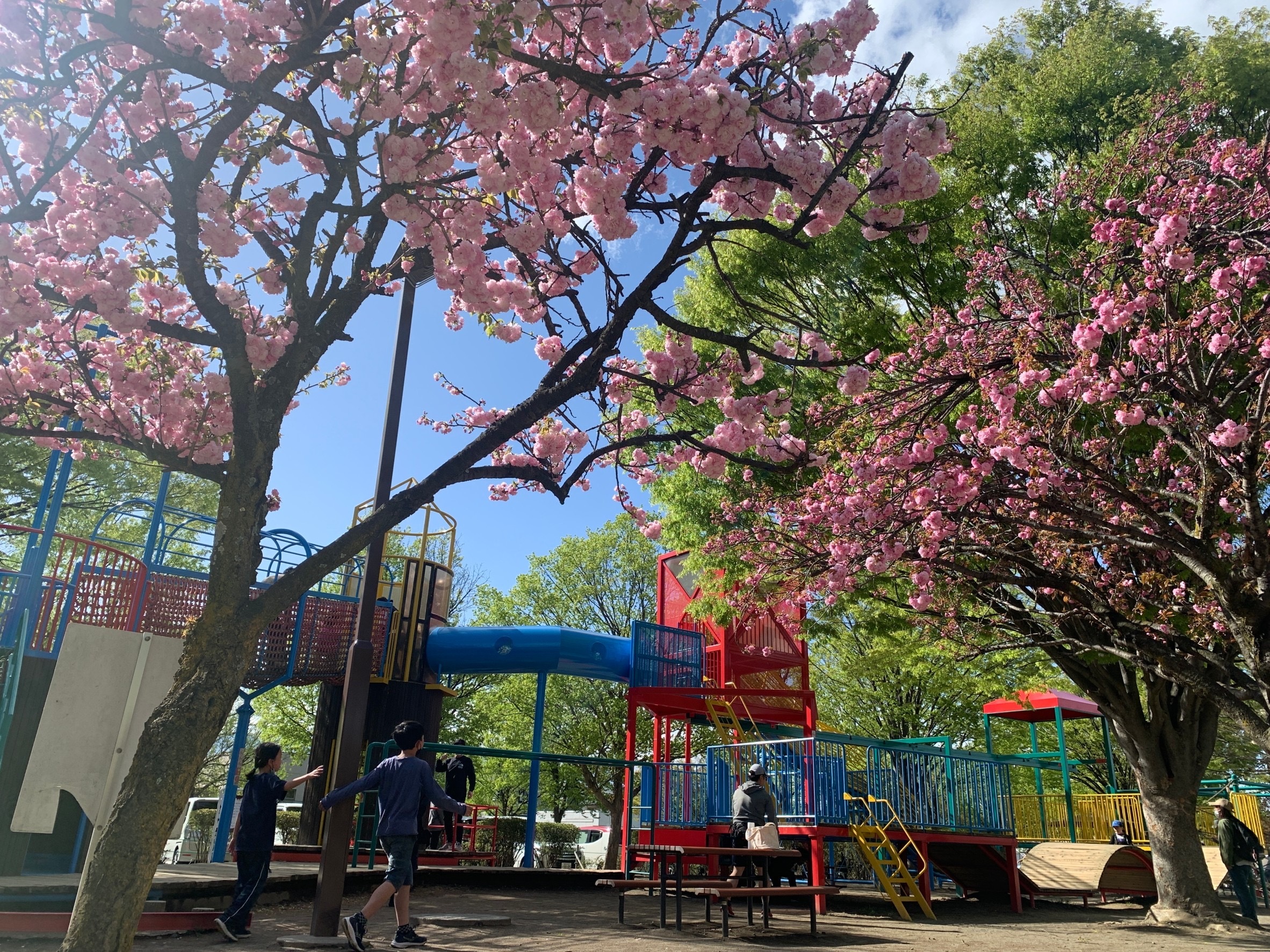 芳川公園