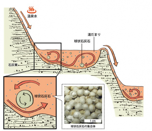球状石灰石のメカニズム
