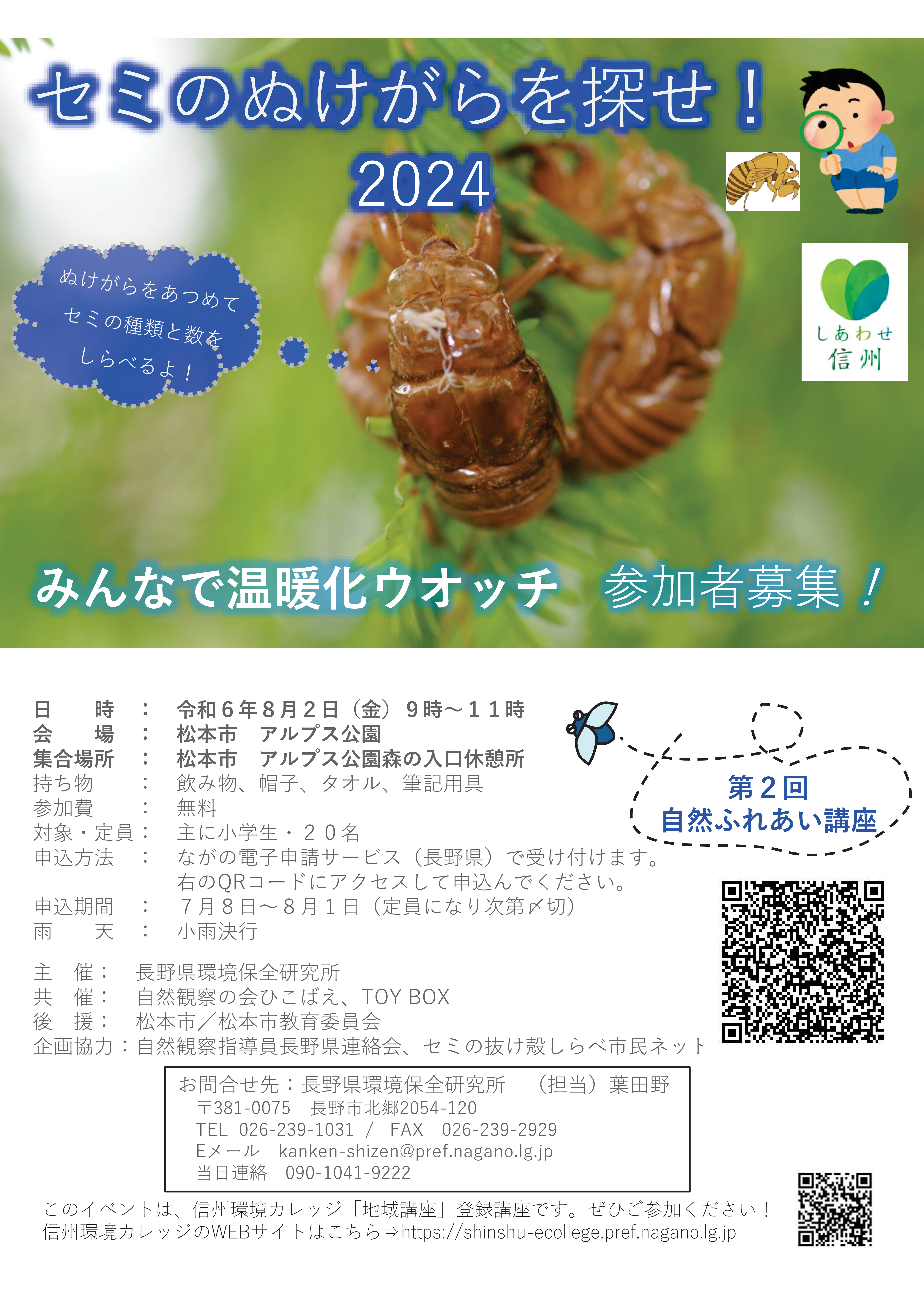 セミのぬけがらを探せ！