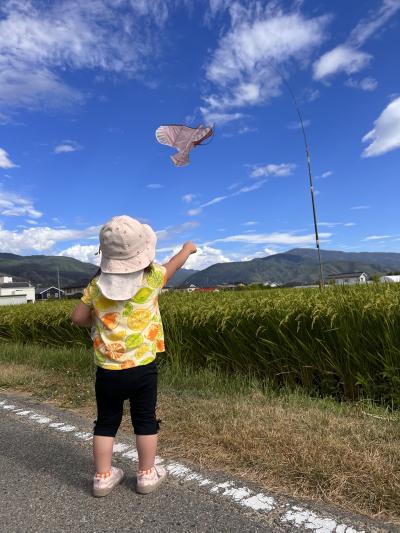 田んぼ