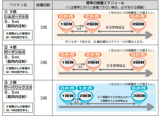 キャッチアップ接種スケジュール