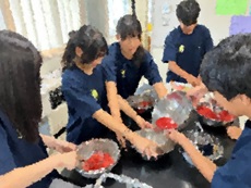 鎌田中1