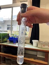 鎌田中2