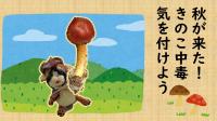 きのこ
