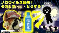 R6ノロウイルス