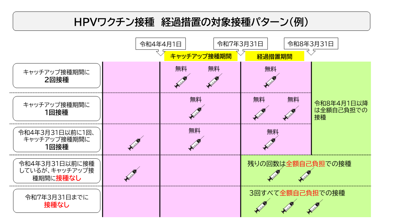 HPV経過措置　接種パターン例