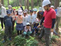 森林に入り木について学ぶ参加者