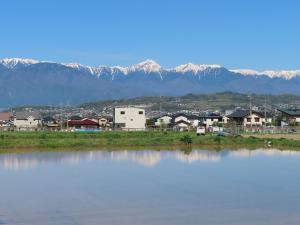 アルプスと田んぼ