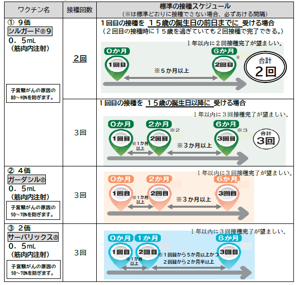 HPV接種スケジュール