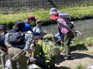 女鳥羽川流域の植物を観察する参加者