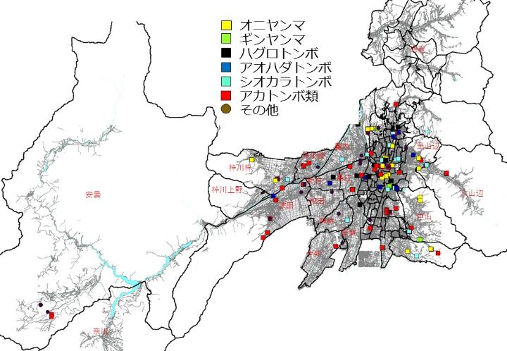 トンボマップの画像