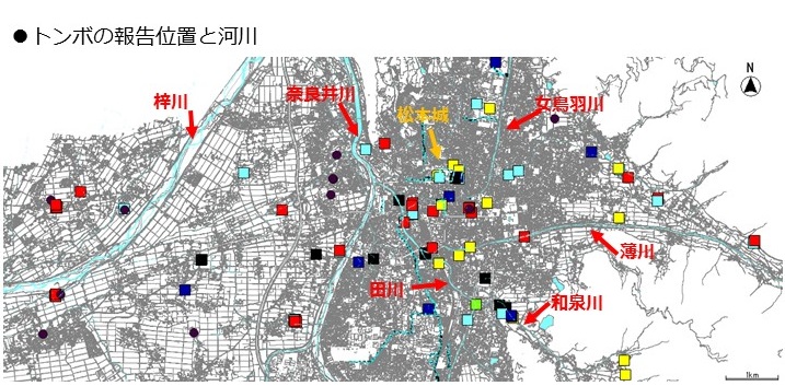 トンボの報告位置と河川の画像