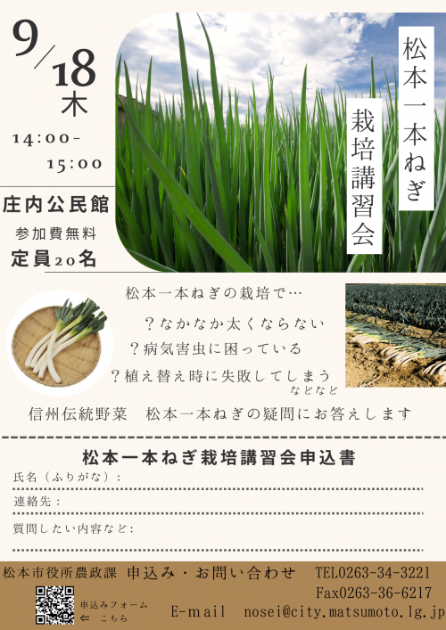 チラシ
