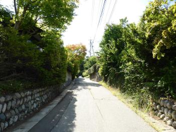 緑が連続した既存住宅地の写真1