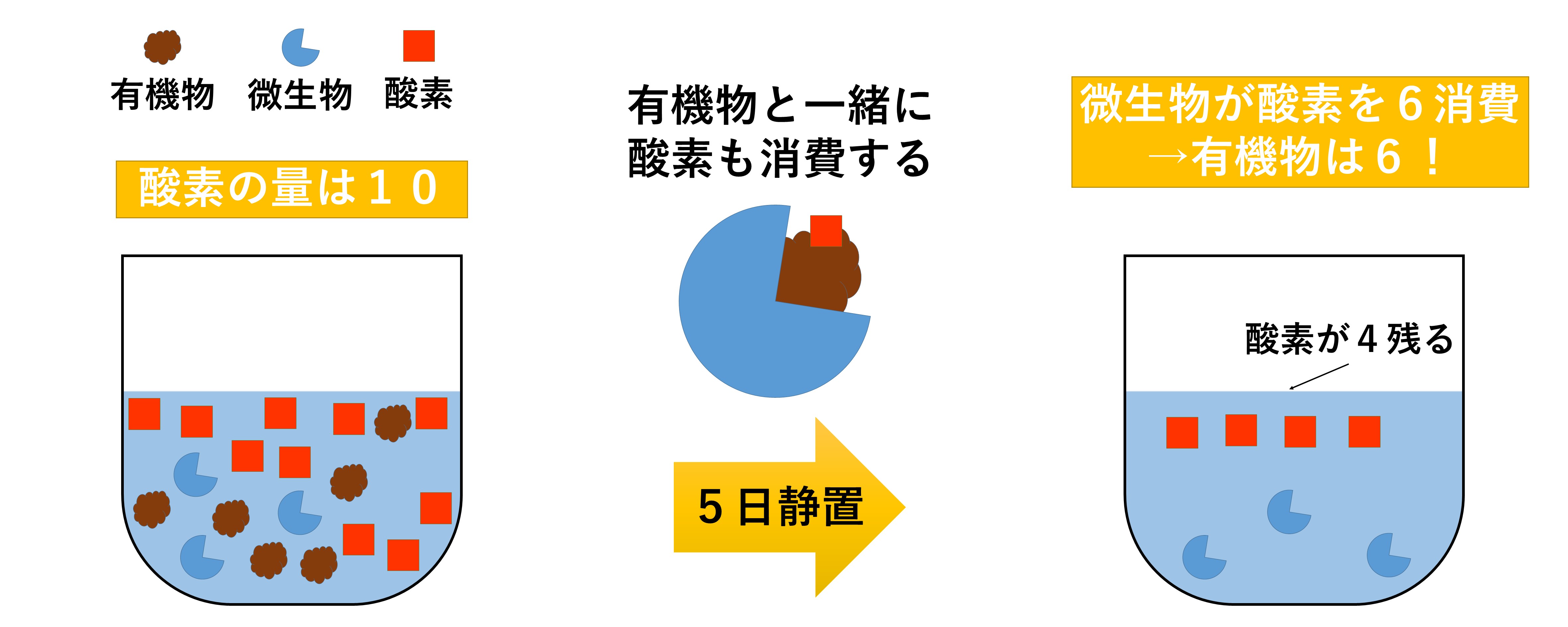 BODイメージ図