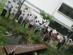 完成した橋